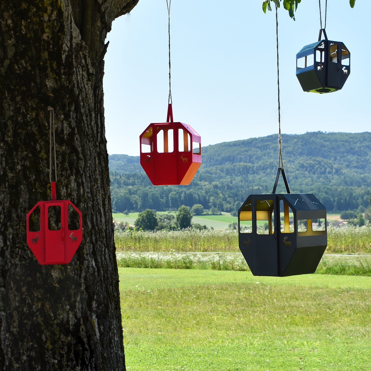 Gondel Laternen in Rot und Schwarz an Seilen in einem Baum vor Wiese und Hügeln